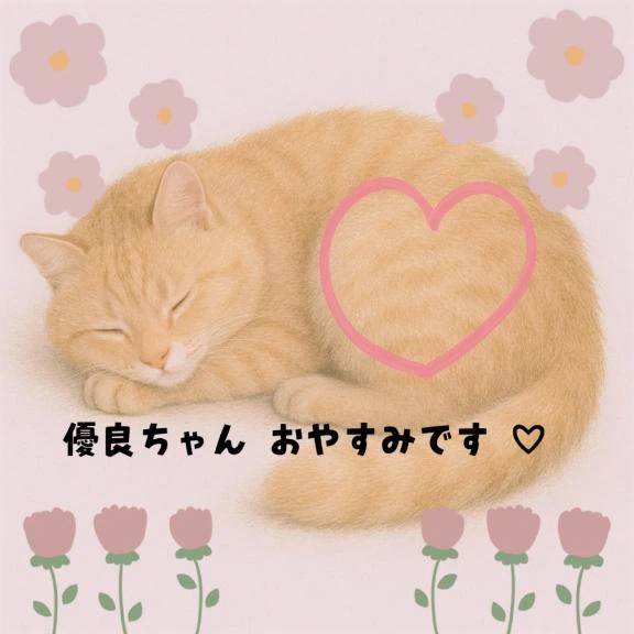 おやすみ ( ¯꒳¯ )ᐝ