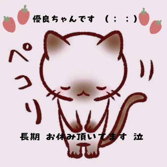おやすみ ( ¯꒳¯ )ᐝ