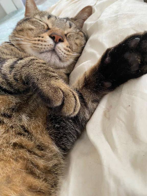 ルームシェアできちゃう？