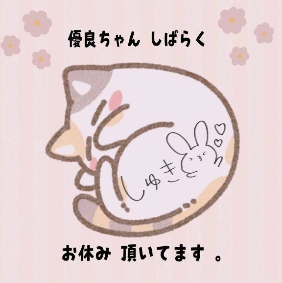 おやすみ ( ¯꒳¯ )ᐝ