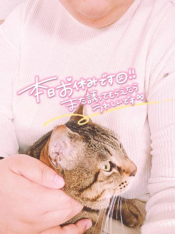 急なのですが💦