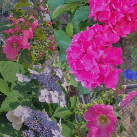 用事のついでに ... ⸜ 🌼 ⸝