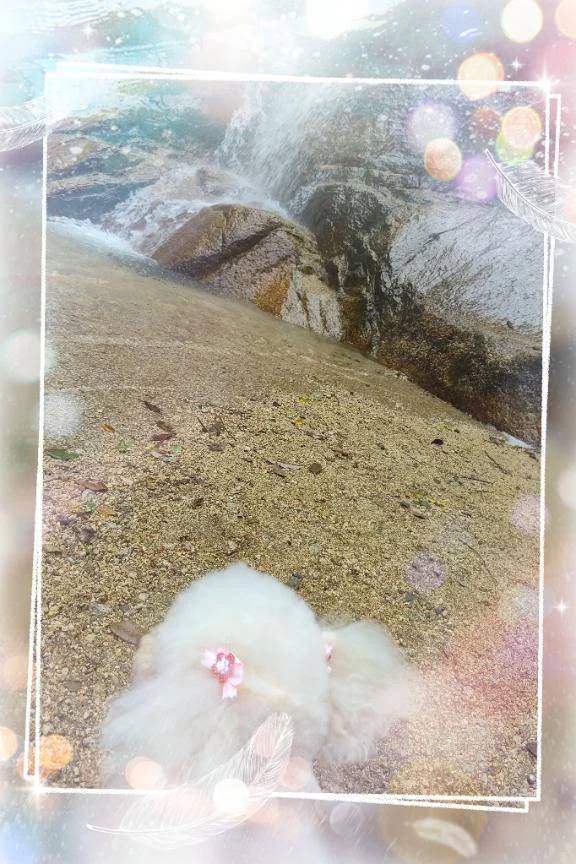 怖い