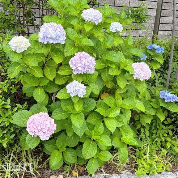 おはようございます😊