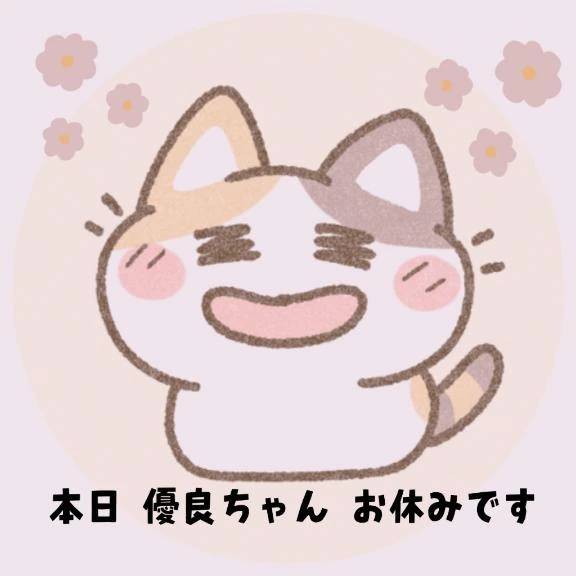 おやすみ ( ¯꒳¯ )ᐝ