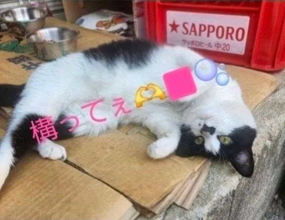 …(((･ω･　)ｽｽ…ﾋﾟﾀ…