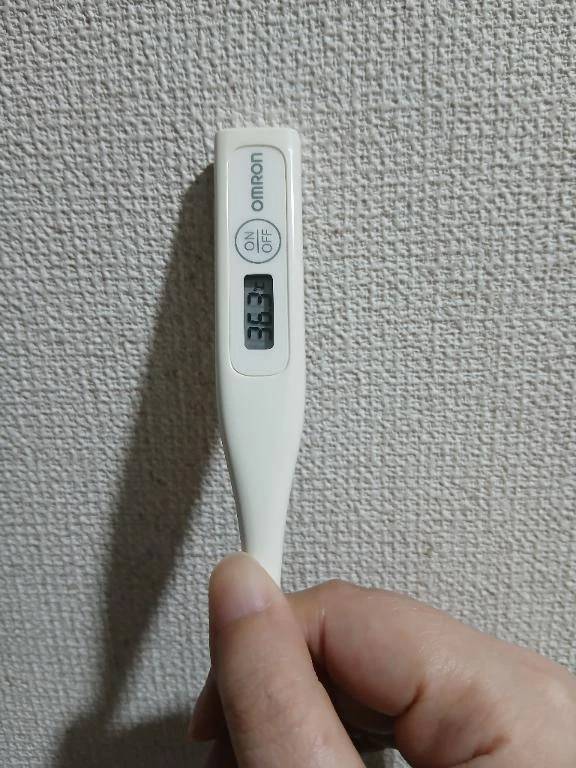 おはようございます🙂