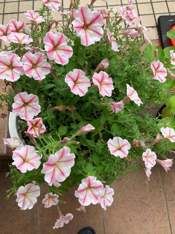 出勤前は💓