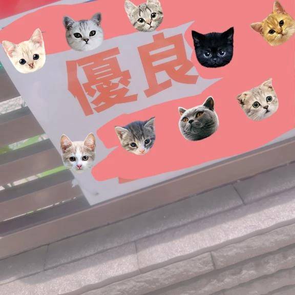 みてみてーっ 🎶