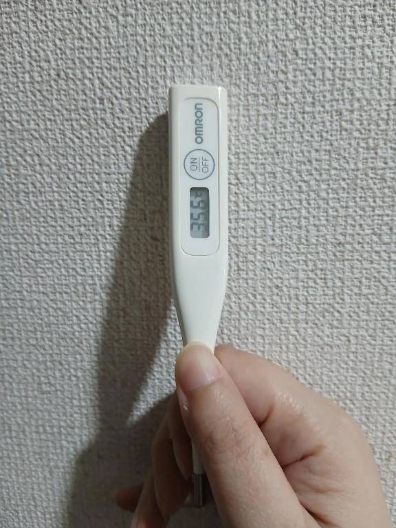 おはようございます🙂
