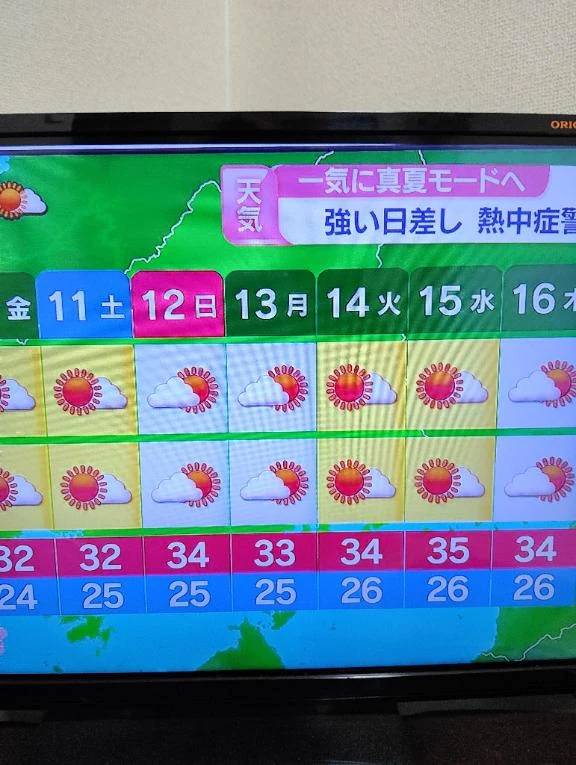 え〰️〰️〰️