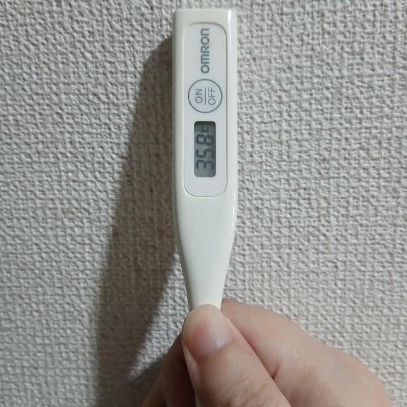 おはようございます🙂