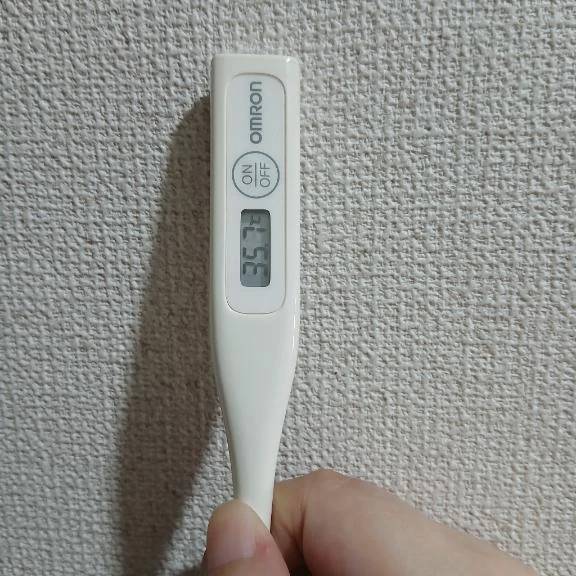 おはようございます🙂