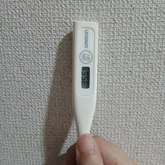 おはようございます🙂