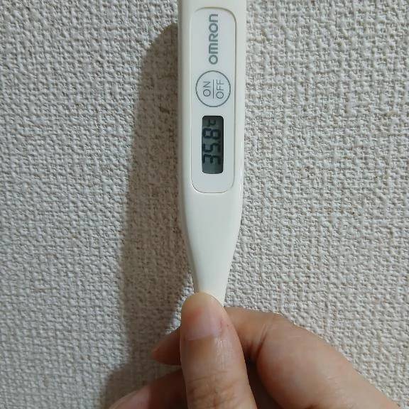 おはようございます🙂