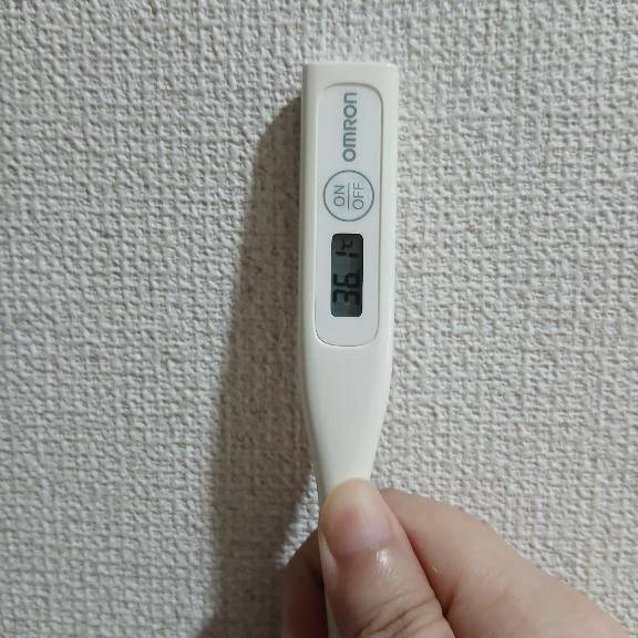 おはようございます🙂