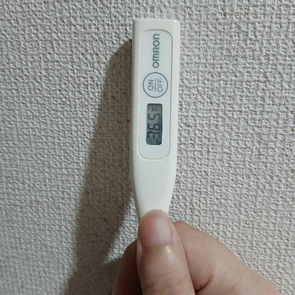 おはようございます😴