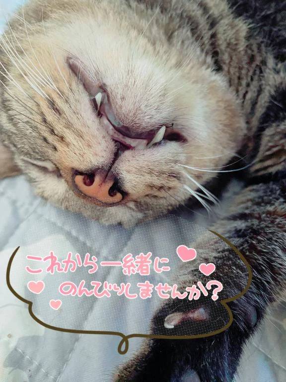 出勤〜