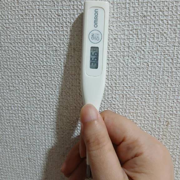 おはようございます🙂