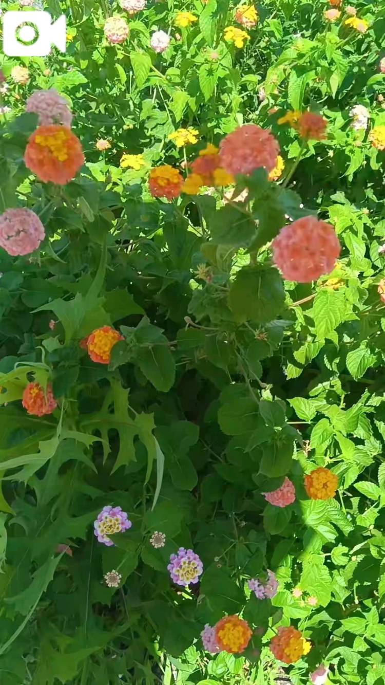 日差しが強いね(@@)