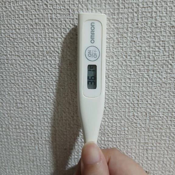 おはようございます🙂