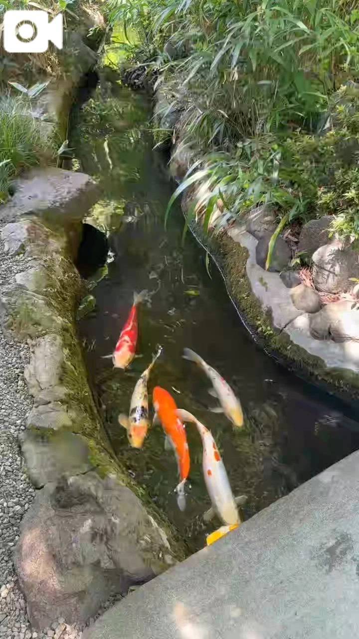 涼しさを💕♪