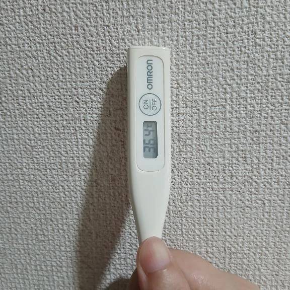 おはようございます🙂