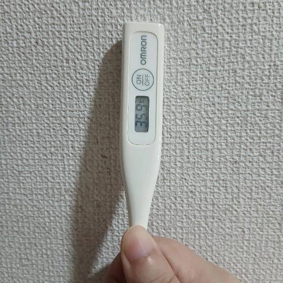 おはようございます🙂