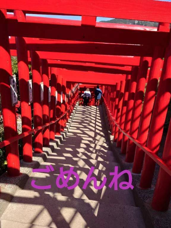 ごめんね……