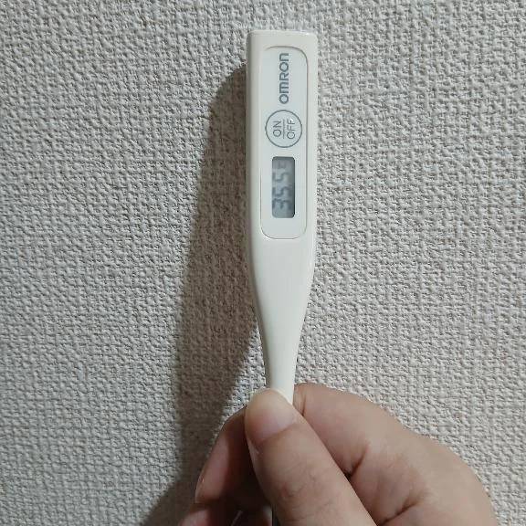 おはようございます🙂