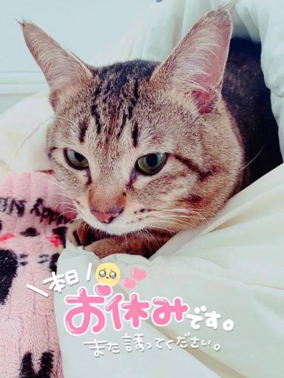 急なお休み😢