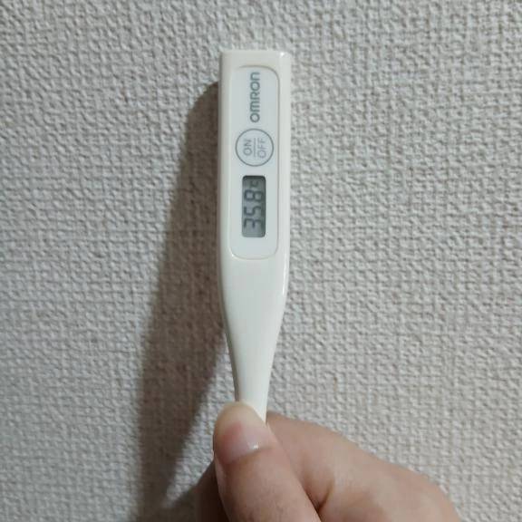 おはようございます🙂