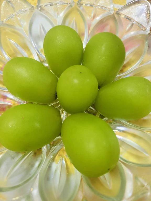 Мさま🍇