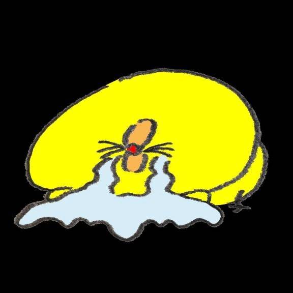 お休み頂いてます( ºωº )ﾁｰﾝ…