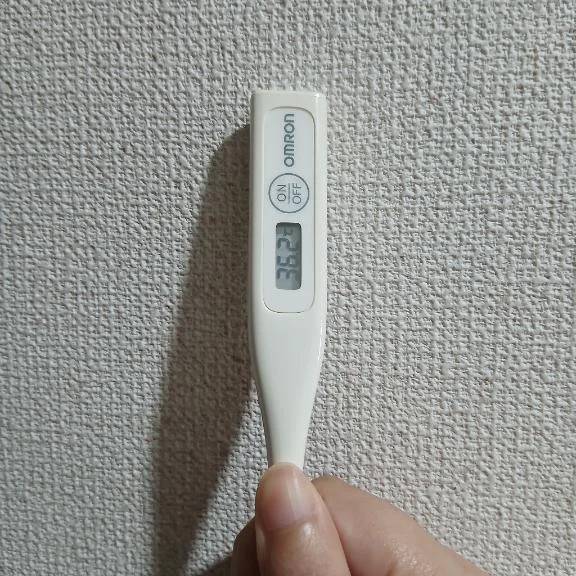 おはようございます🙃