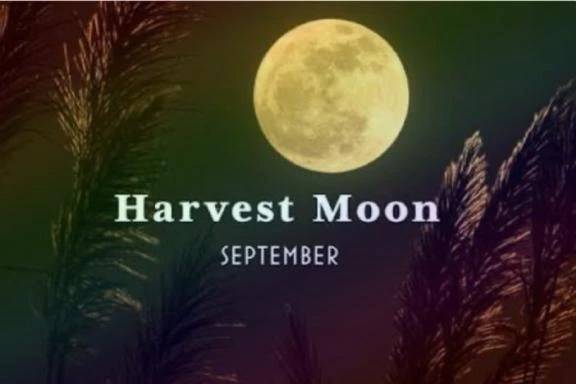 🌕中秋の名月