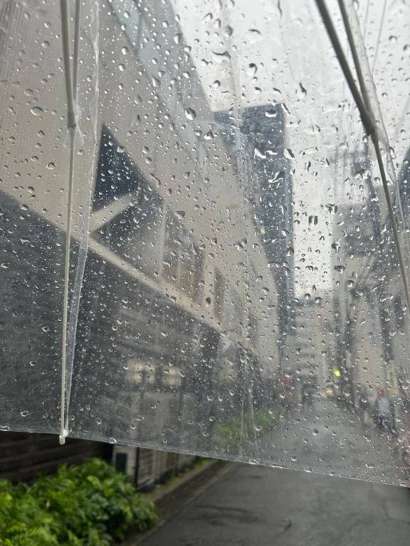 雨雨☂️