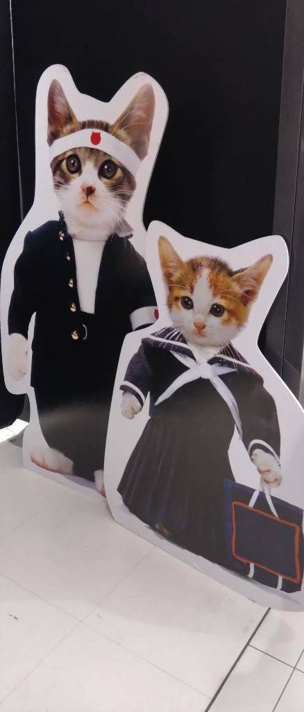 この後のご予約様へ❤️