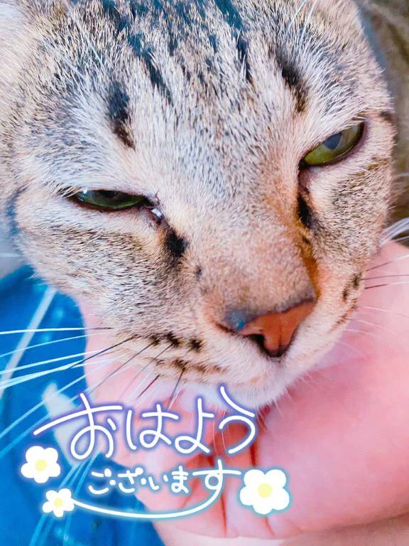 朝ですね〜