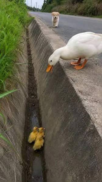 癒やし②