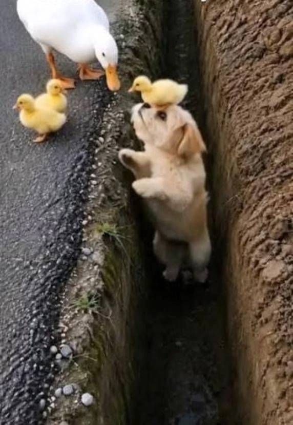 癒やし⑤