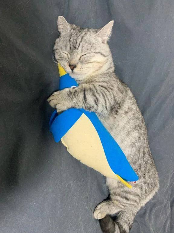 おやすみ①