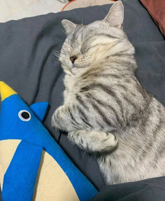おやすみ③