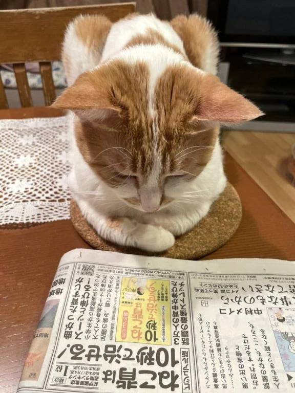 お笑い③