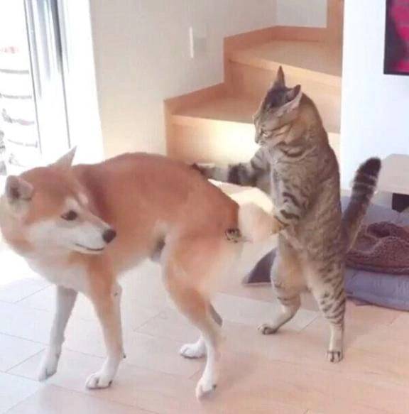 お笑い⑤