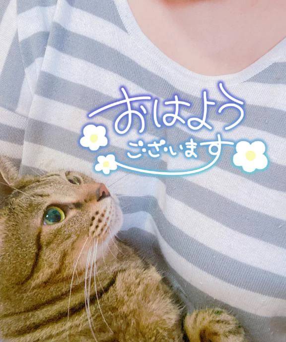 さむさむ