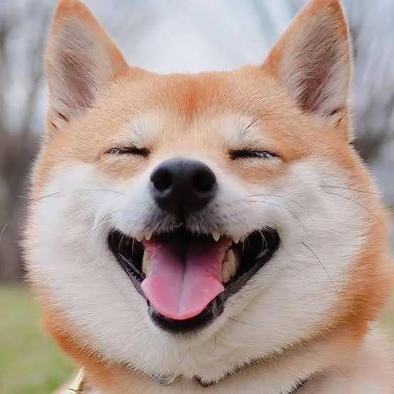 おはようございます💓