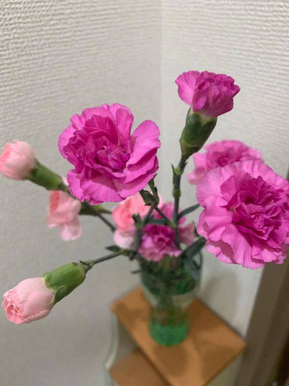 ロマンの貴方様