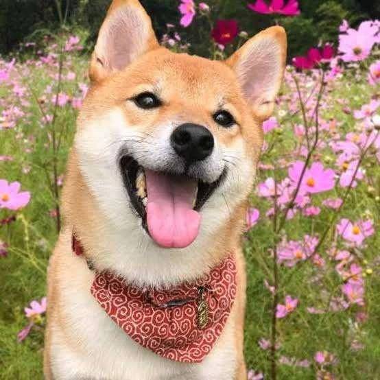 今日も💓