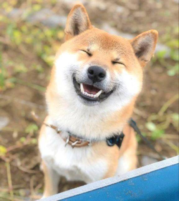 今日も💓